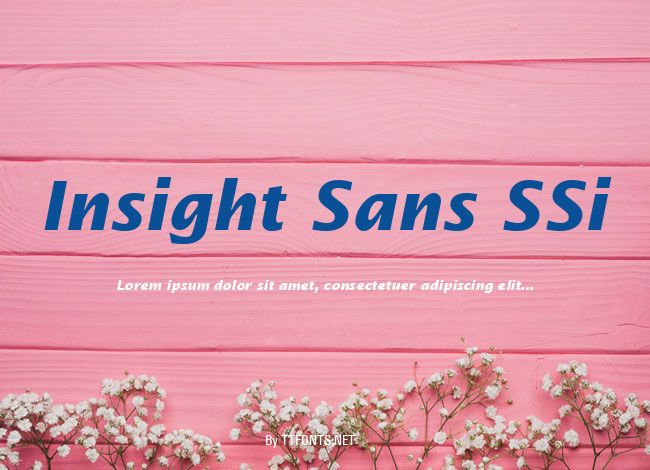 Insight Sans SSi example